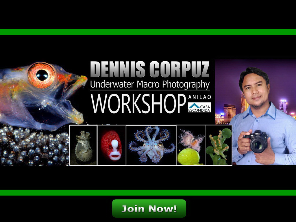 Dennis Corpuz underwater macro Photography workshop